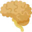 Neurology icon 64x64