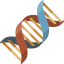 Dna icon 64x64