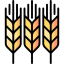 Wheat ícono 64x64