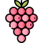 Grapes Ikona 64x64