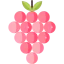 Grapes Ikona 64x64