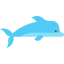 Dolphin icon 64x64