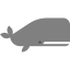 Whale icon 64x64