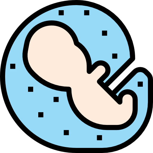 Embryo アイコン
