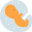 Embryo icon 64x64