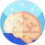 Brain icon 64x64
