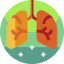 Lungs icon 64x64
