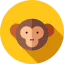 Monkey icon 64x64