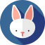 Rabbit icon 64x64