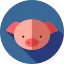 Pig icon 64x64