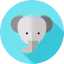 Elephant 상 64x64