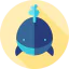 Whale 상 64x64