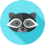 Racoon 상 64x64