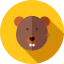 Beaver 상 64x64