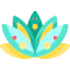 Water lily 图标 64x64