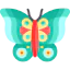 Butterfly 图标 64x64