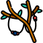 Branch 图标 64x64