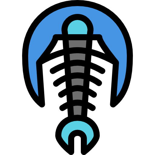 Fossil icon