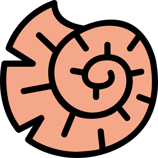 Fossil 图标