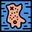 Treasure map icon 64x64