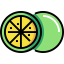 Lime icon 64x64
