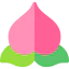 Peach biểu tượng 64x64