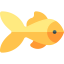 Goldfish 图标 64x64