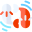 Koi biểu tượng 64x64