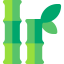 Bamboo biểu tượng 64x64