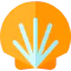 Shell icon 64x64