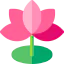 Lotus biểu tượng 64x64