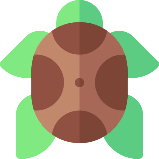 Tortoise icon