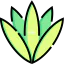 Agave icon 64x64