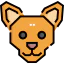 Chihuahua icon 64x64
