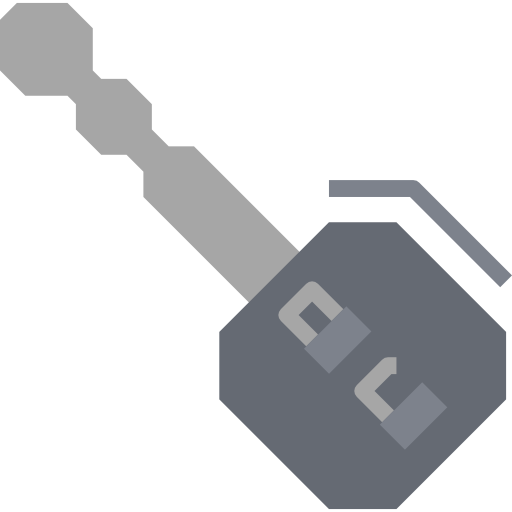 Key icon