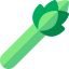 Asparagus icon 64x64