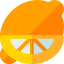 Citrus icon 64x64