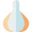 Clove garlic іконка 64x64