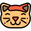 Cat icon 64x64