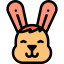 Rabbit icon 64x64