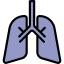 Lung icône 64x64