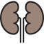 Kidneys icône 64x64