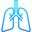 Lung icon 64x64