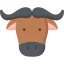 Buffalo icon 64x64