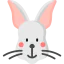 Rabbit icon 64x64