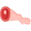 Pork leg icon 64x64