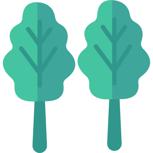 Lettuce icon