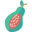 Papaya icon 64x64