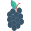 Blueberry icon 64x64