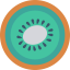 Kiwi ícono 64x64